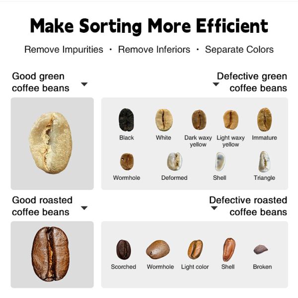 Coffee Beans Rice Grain Color Shape Sorting Machine Ccd Optical Technology For Dry Vegetables