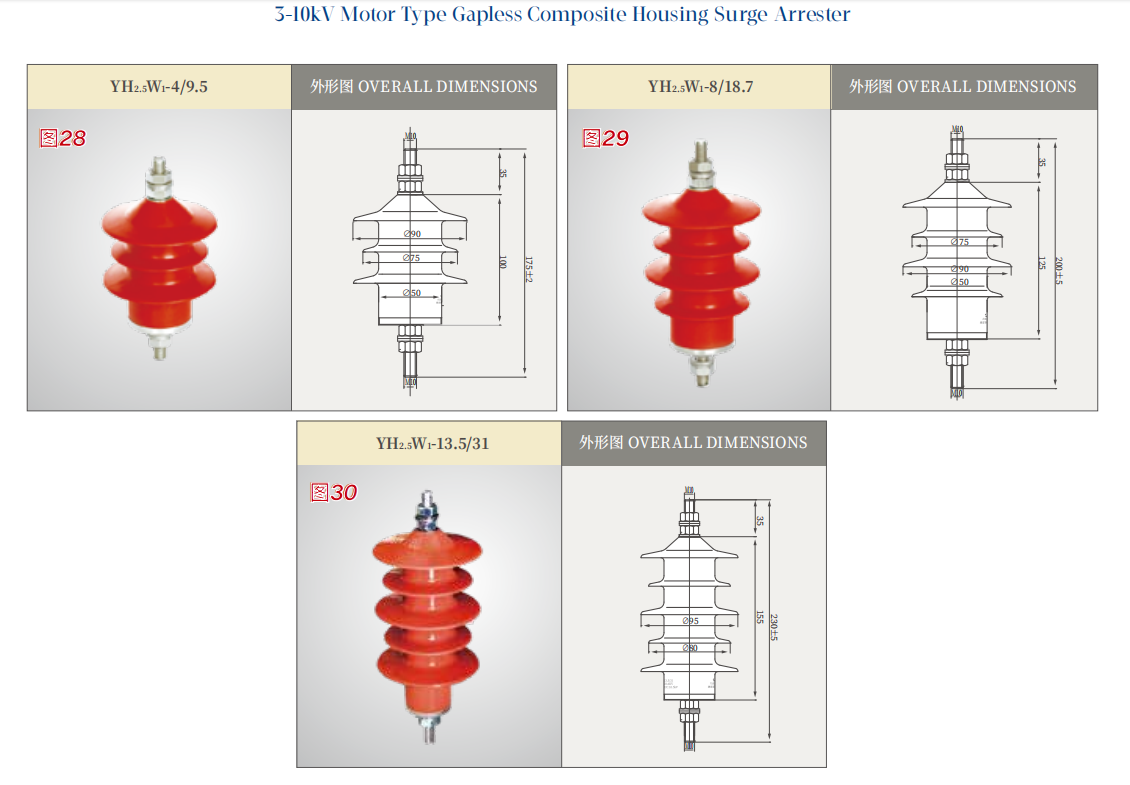 3-10kV Motor Type Gapless Composite Housing Surge Arrester