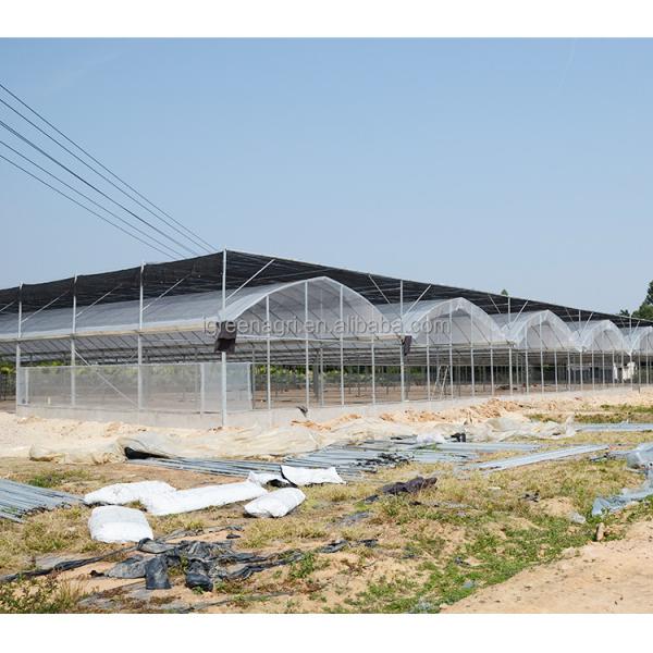 10m Tunnel Width Wide Span Greenhouse For Snail Farming with Irrigation System