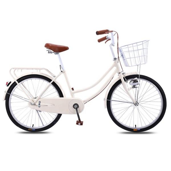 OEM ODM 20/24 Inches Utility Bicycle With Carbon Steel Frame And Fully Enclosed Chain Box