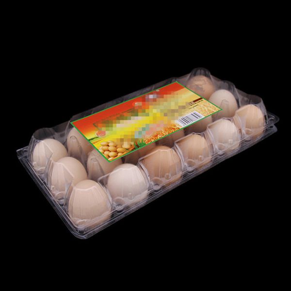 3X6 Disposable Plastic Egg Tray 18 Holes Plastic Egg Packing Container