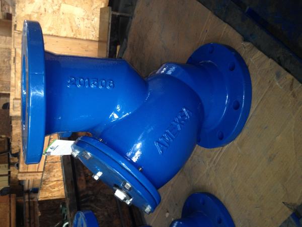 ANSI y strainer flanged ends