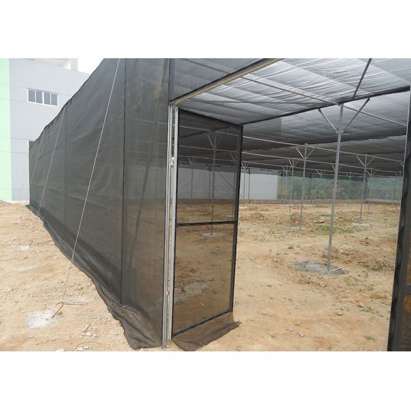 Customized Insect Protection Shade House Greenhouse Garden Shade House