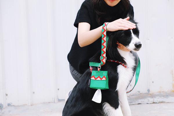 Felt Soft Pet Dog Walking Poop Bag Holder Cute Dog Waste Bag Holder