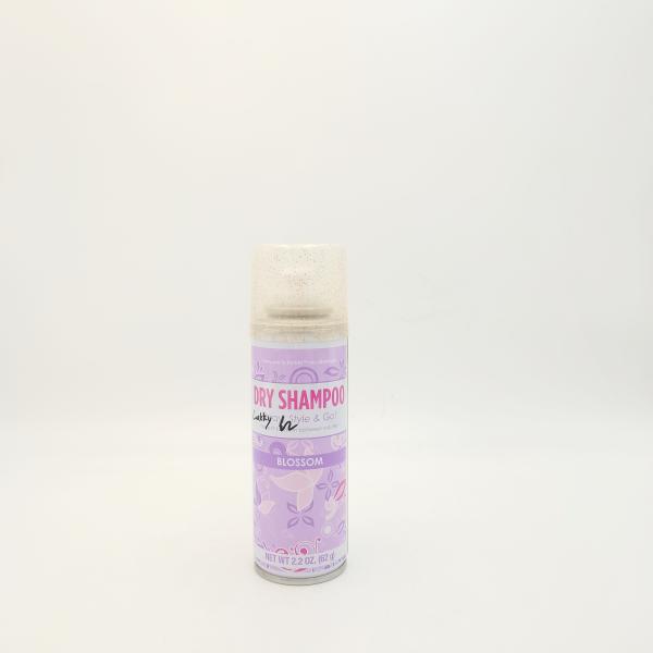 62g Shampoo Quick Dry Hair Spray Tasteless Nonflammable Practical
