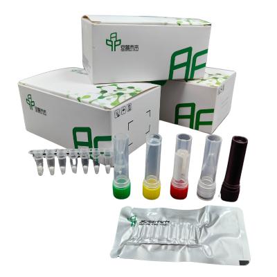 Kit de detecção de patógenos Shigella com detector de fluorescência isotérmica de exonuclease