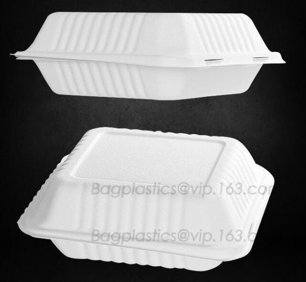 Compostable Clamshell Take Out Food Containers, Natural Disposable Bagasse, Eco-Friendly, Sugar Cane Fibers