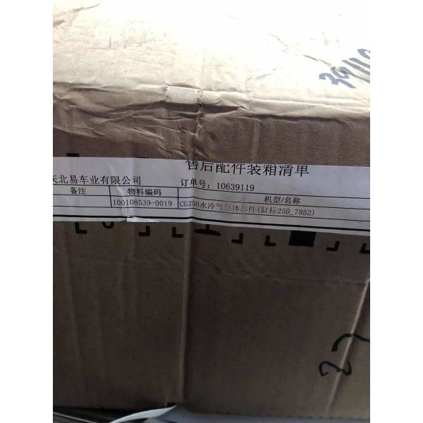 Pièces détachées pour moteur de moto, tête de cylindre complète pour moteur à essence DAYANG CG250