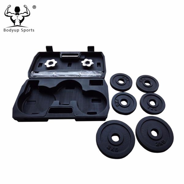 Black Painting Cast Iron Weight lifting weight Plate For Gym