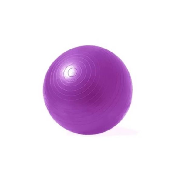 ODM Gym Fitness Workout Accessories Yoga Exercise Ball