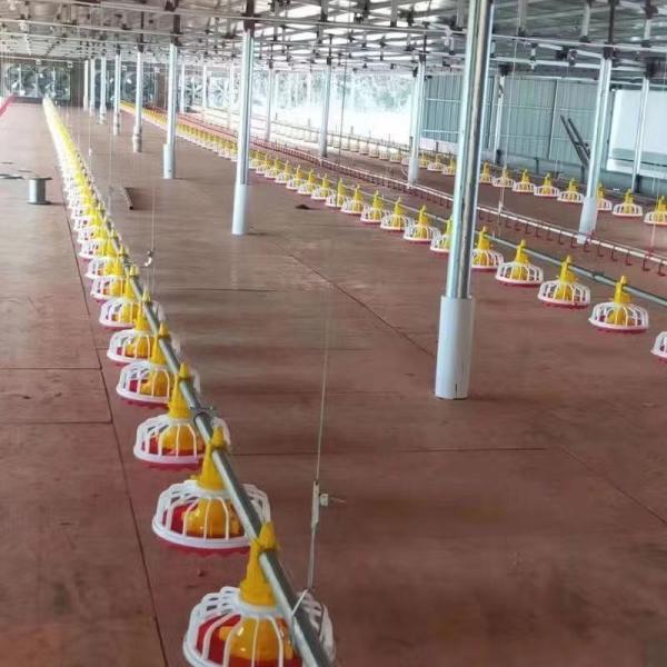 Best Price Automatic Poultry Farm Broiler Feeding Line Chicken Feeding and Drinking Pan