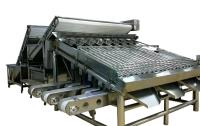 Máquina de clasificación de camarones de rodillo Material de acero inoxidable polivalente