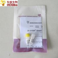 SYBR QPCR vert Mélangez du ROX+ élevé pour la PCR en temps réel de l'ADN ABI