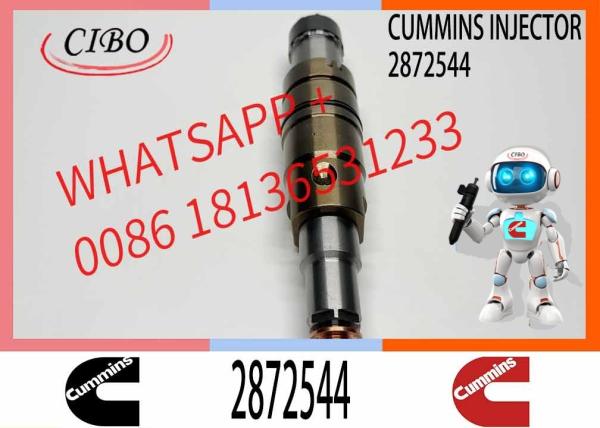Injecteur de carburant commun 2872544 C2872544 pour moteur Cummins ISX ISX12 ISX15
