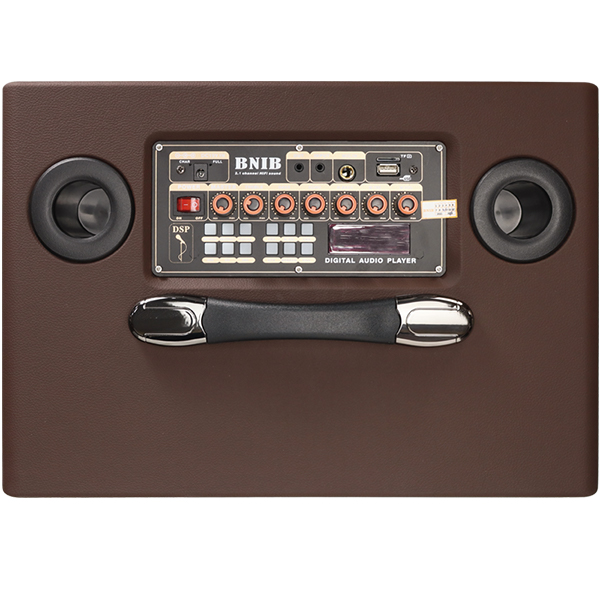 Bluetooth Outdoor Portable Speaker 6.5 Inch Karaoke Loudspeaker With Usb Port