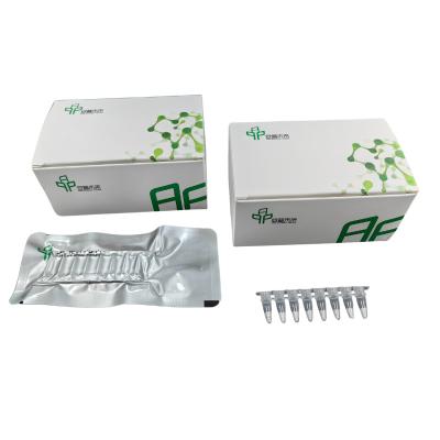 Kit de Amplificação Isotérmica de PCR de Alto Desempenho Resultados Rápidos e Precisos
