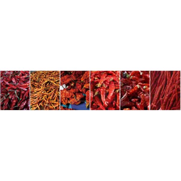 Сушильная машина для чили в Шоучуане Автоматическое оборудование для сушки пикантных продуктов мощностью 1 - 50 тонн