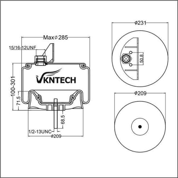 Газ заполнил AS9541 Semi перевозит варочные мешки на грузовиках W01-358-9541 FLEETPRIDE 1DK20H-9541