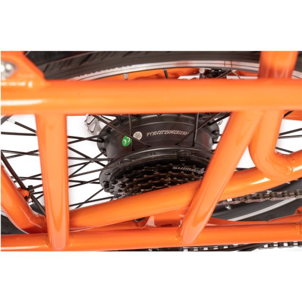 Family E-cargo Electric Bike with 20