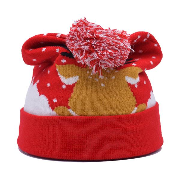 Chapéus de chapéu de inverno unisex com padrão de bordado para a estação fria