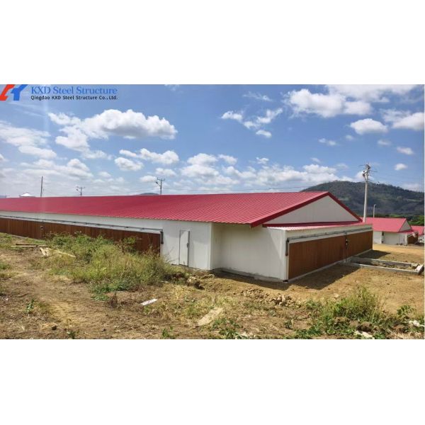 3 niveaux - 10 niveaux Cage d'élevage de volailles Cage de poulailler à alimentation automatique