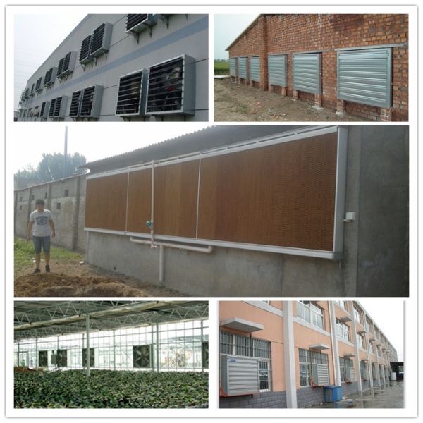 Water Cooling Pad Livestock Barn Ventilation Evaporative Filter Pads For Pig Farm