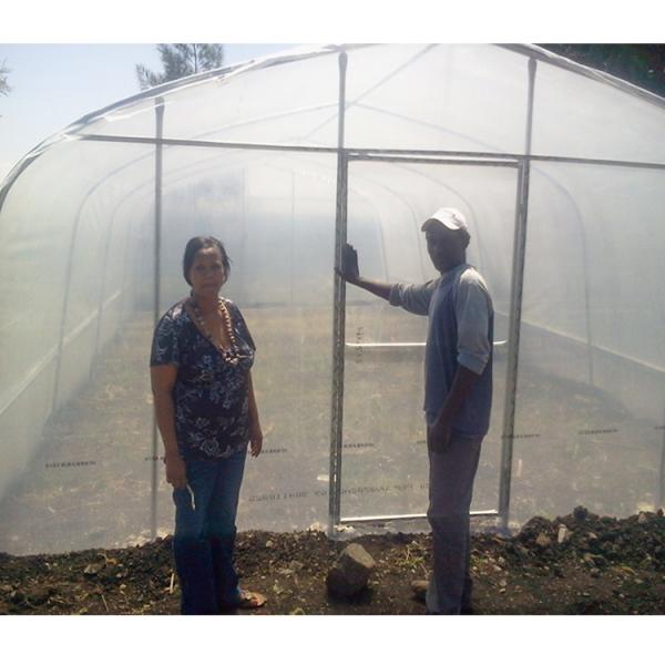 Vegetable Single Span Greenhouse Customized Small Outdoor Greenhouses IGreen