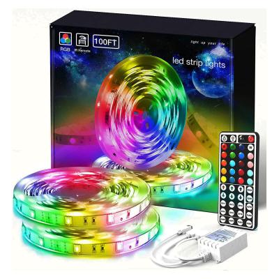 5m 12V Luces 5050 Multi Color Mood Magic Lights 100ft Led Light Strip With 44keys