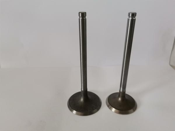 GM VECTRA Automotive Engine Inlet Valves , Car Diesel Engine Parts