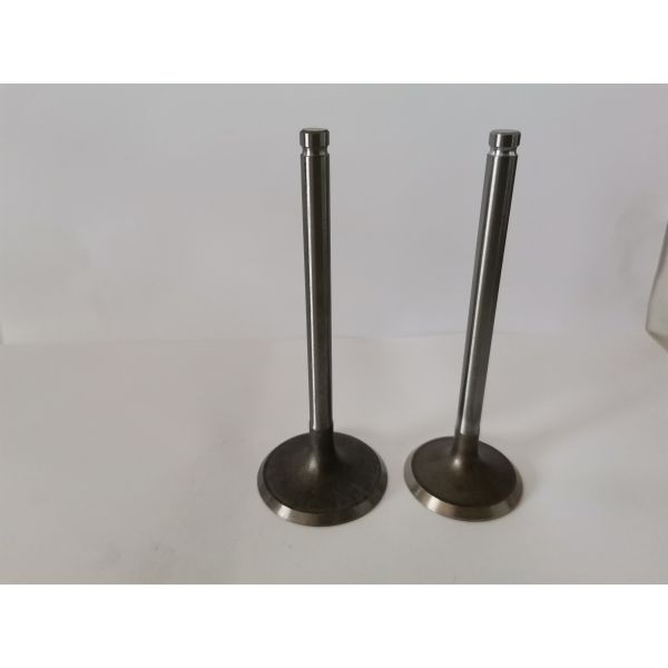GM VECTRA Automotive Engine Inlet Valves , Car Diesel Engine Parts