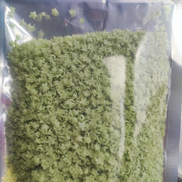 Panco japonés 1 kg Granulado para el pan