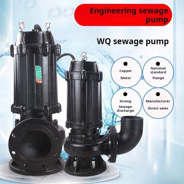 Cast Iron Submersible Municipal Sewage Pump For Domestic Utilities