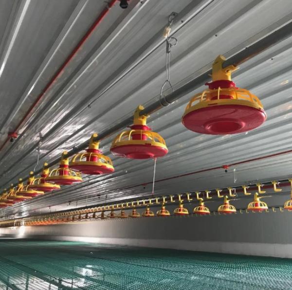 Poultry Farming Equipment Intelligent Feeding System with Low Maintenance and High Efficiency