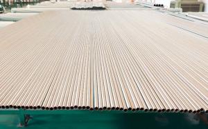 Jiangsu Hongbao Group Co., Ltd.