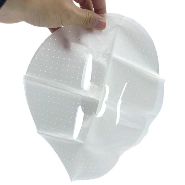 Hydrogel Bio Collagen Face Mask Sheet Skin Recovery Repair Recombinant Custom Size