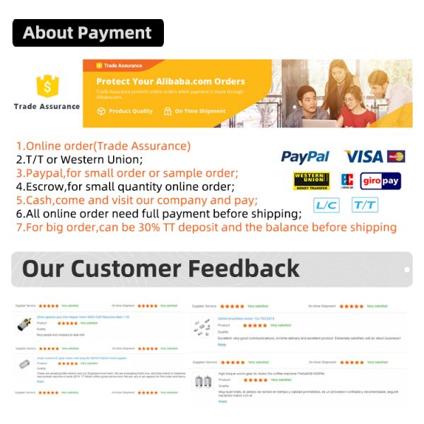 12V вибрируя делают электрический двигатель водостойким для электрического велосипеда