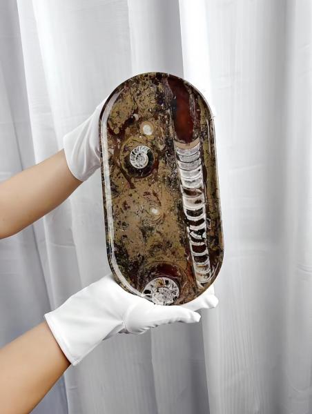 Italy Canghai Jurassic Marble Stone Plate Marble Dish Tray Scratch Resistant Aesthetic