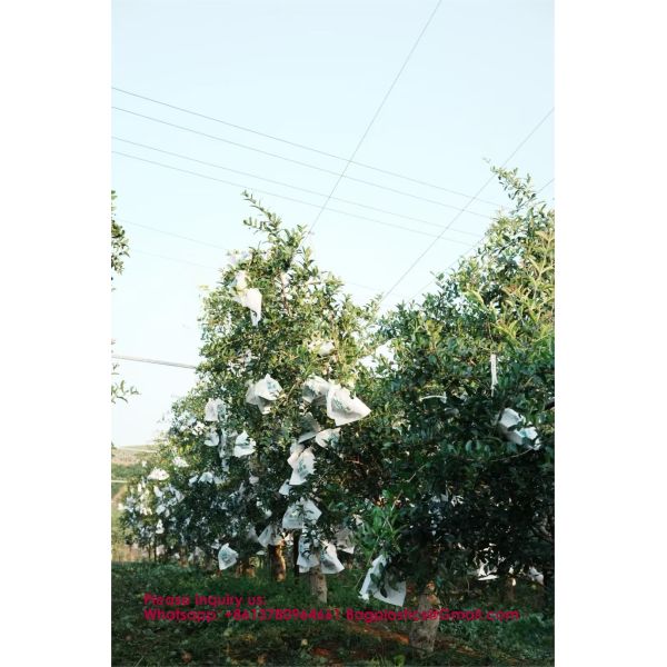 Custom Fruit Protection Bags Double-Layer Thickened Paper Bags Universal For Pear & Apple Trees Factory Wholesale Protection Bags Sunproof, Insect & Disease Resistant
