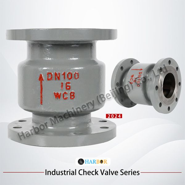 H42H-16/25C Cast Steel Vertical Single-Direction Flanged Check Valve with OEM Support