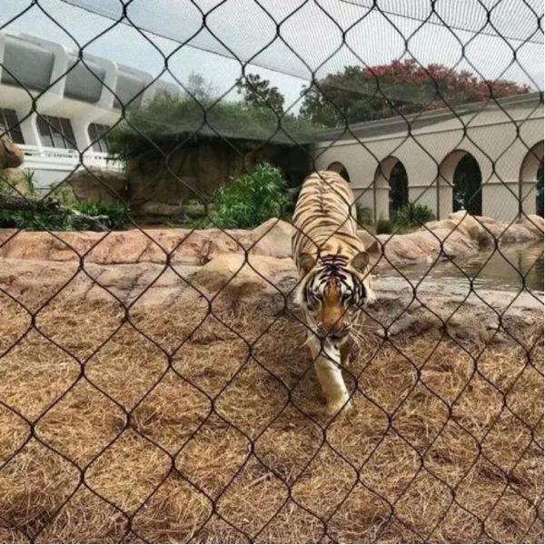 Customization Wire Rope Mesh for 7 X 7 7x19 Construction