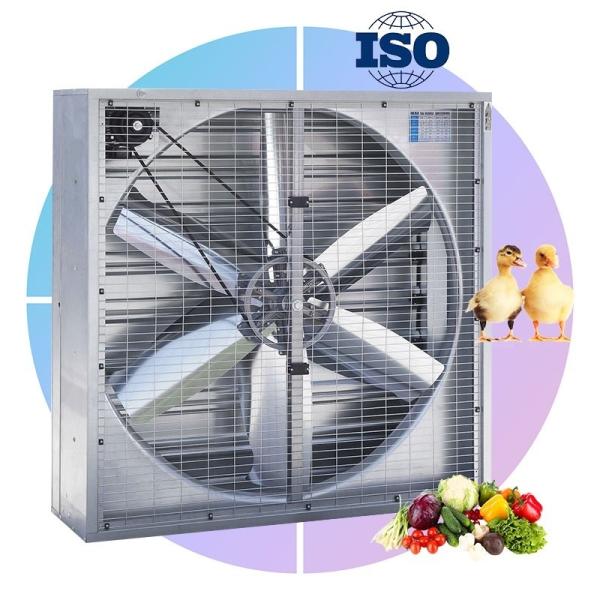 Modern Design 50'' Greenhouse Push Pull Exhaust Fan for Poultry Farms Electric Chicken House Ventilation OEM & ODM Supported