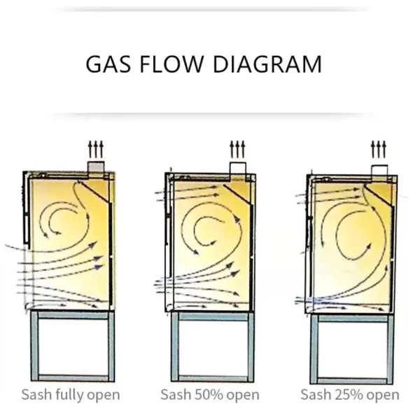 Customized Laboratory Fume Hood Lab Fume Hoods Anti-static Safety System 220V/50Hz