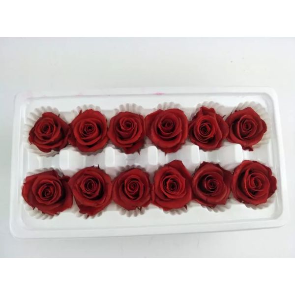 Ecuador Roses Diy Preserved Rose Head Gold Covered Roses  rose  gold rose