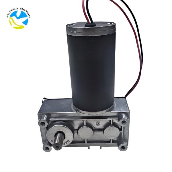 FT-105SGM5180 Excellent Quality Big Torque High Efficiency Silent 12v24v 5-10RPM Worm Gear Motor for Kitchen Waste Processor
