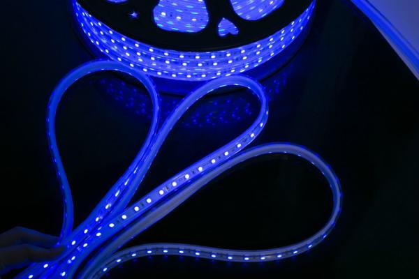 Red / Green / Blue Exterior LED Flexible Strip Lights , Outdoor Led Rope Lights