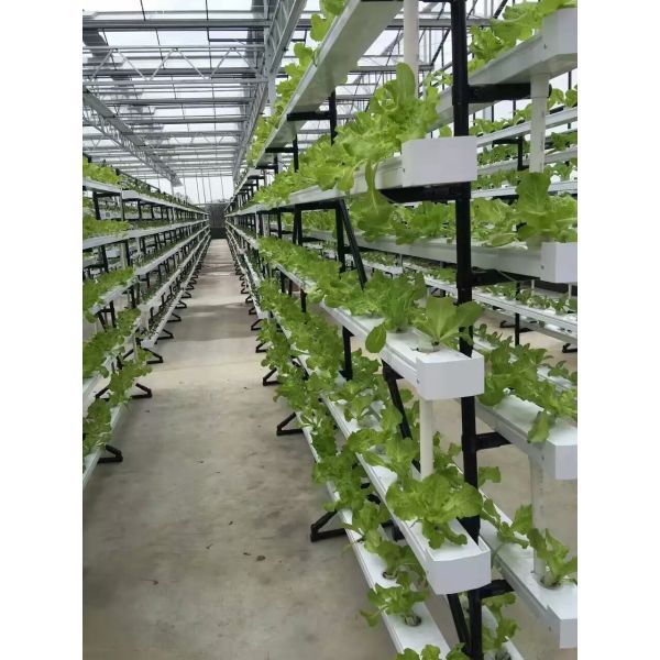 commercial NFT hydroponic growing system greenhouse NFT hydroponic channel