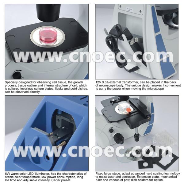 Ergonomic Phase Contrast Microscopy , Infinity Color Corrected Optical System A19.0901