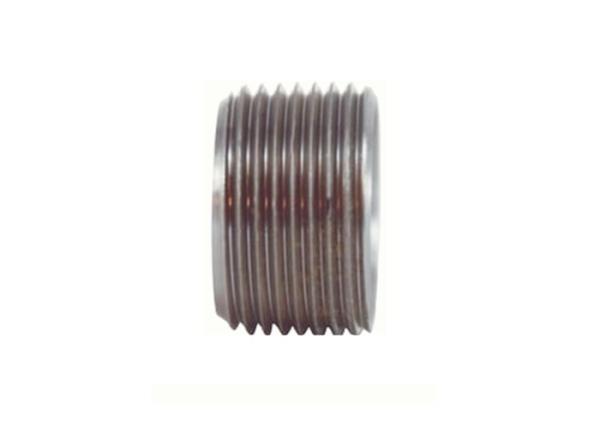 Male Thread Industrial Pipe Fittings Flush Bushing BSPP Stainless Steel ASTM A182 F304