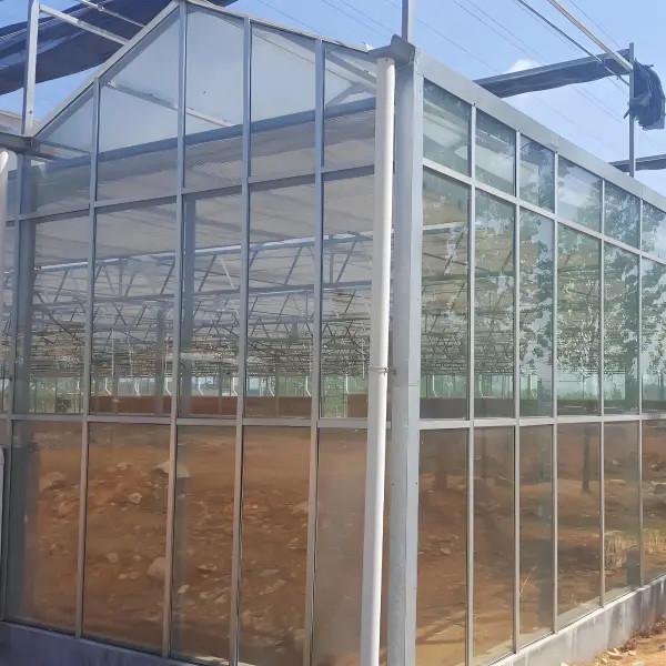 Agricultural Venlo Commercial Glass Greenhouse Width 9.6m With Hydroponic System