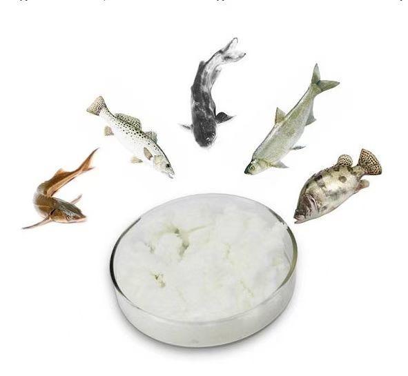 Mtl Industrial Cas 62637-93-8 Trimethylamine N-oxide Dihydrate TMAO for Feed Additives